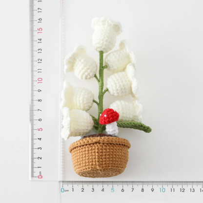 Lily Glow™ – Un Regalo Eterno para Sorprender a la persona que más amas